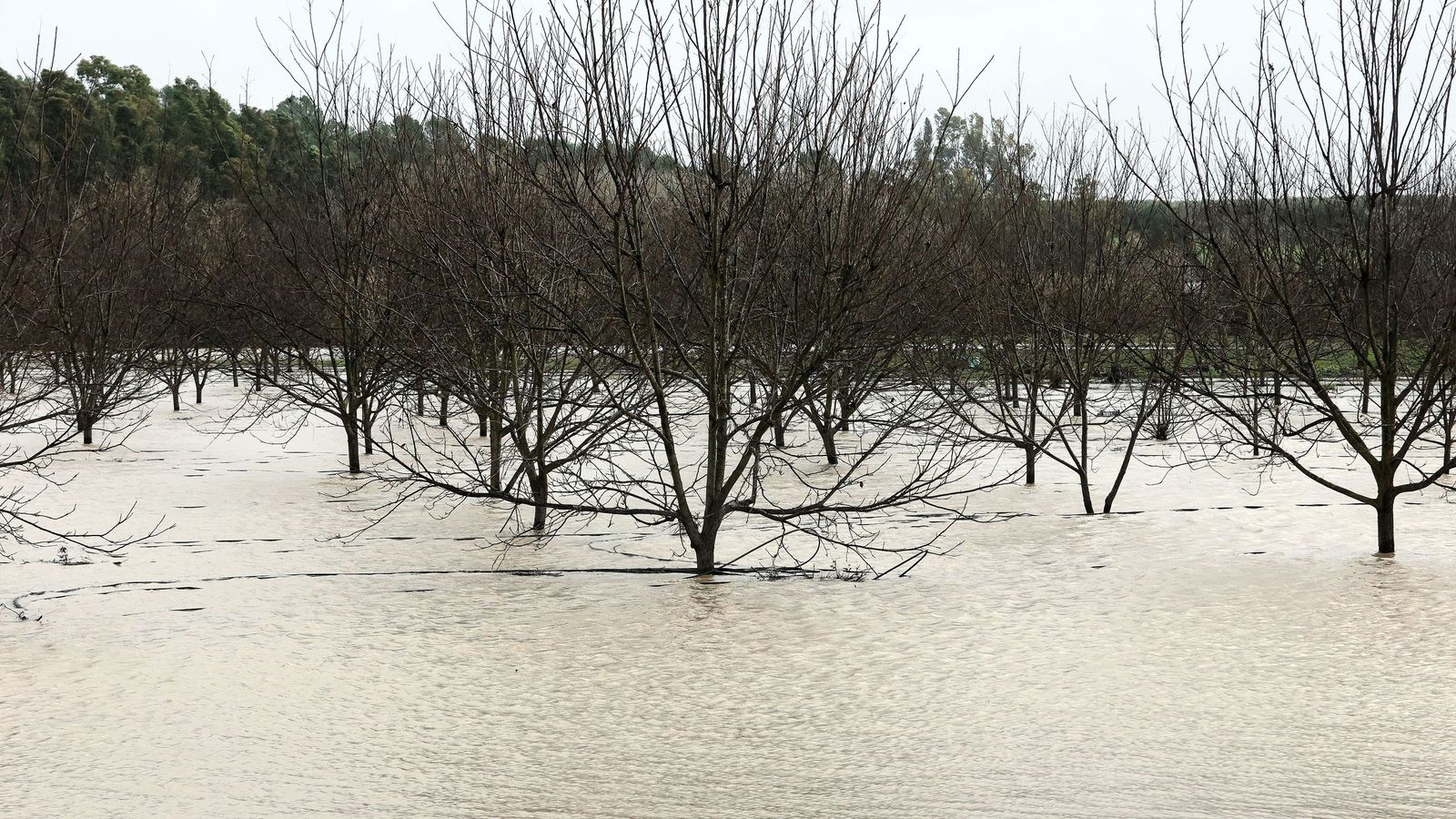 Así afronta la zona rural de Jerez la subida del río Guadalete