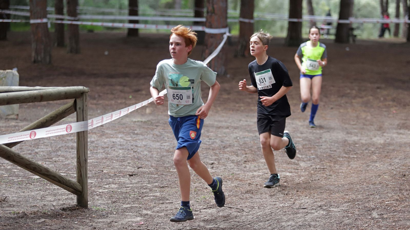 Fotos del III Cross Pinar del Rey en San Roque