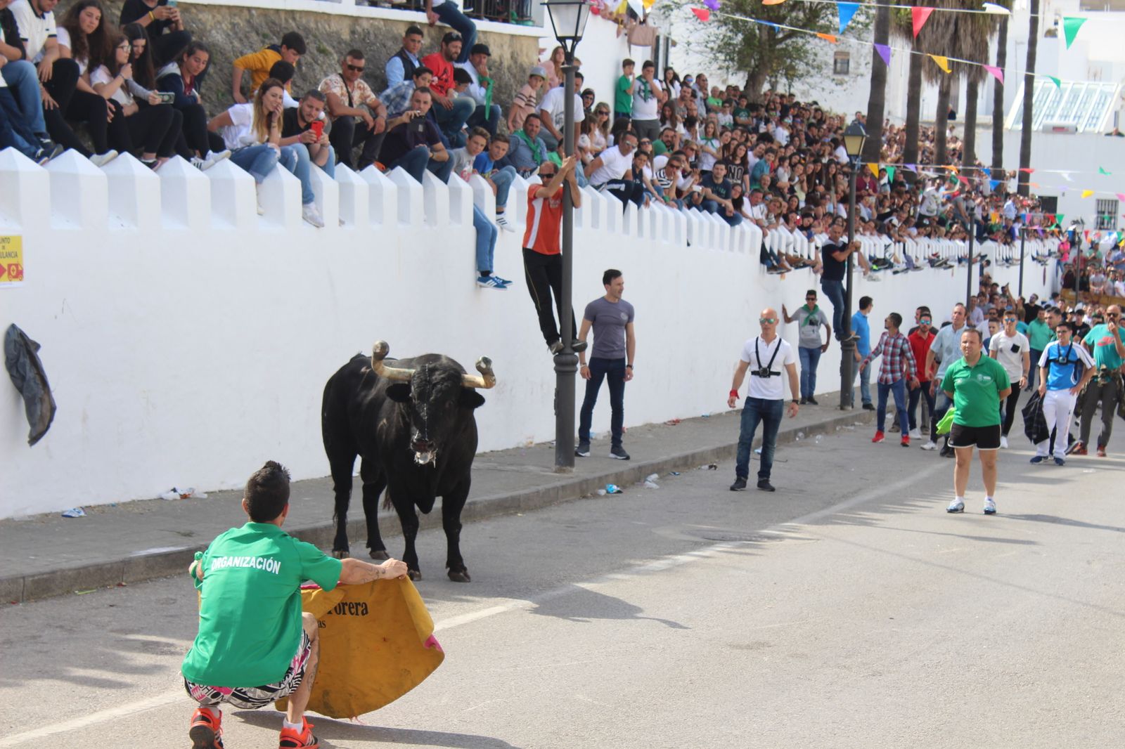 Toro Embolao en Vejer