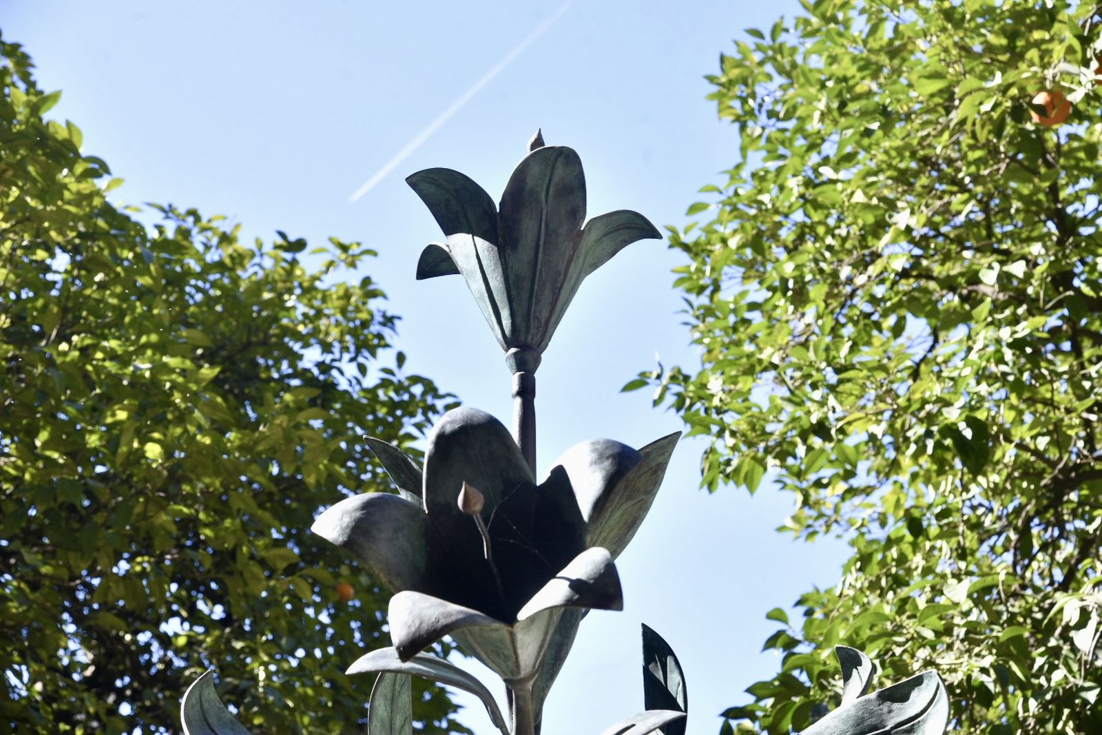 La retirada de las jarras de las azucenas de la Giralda, en imágenes