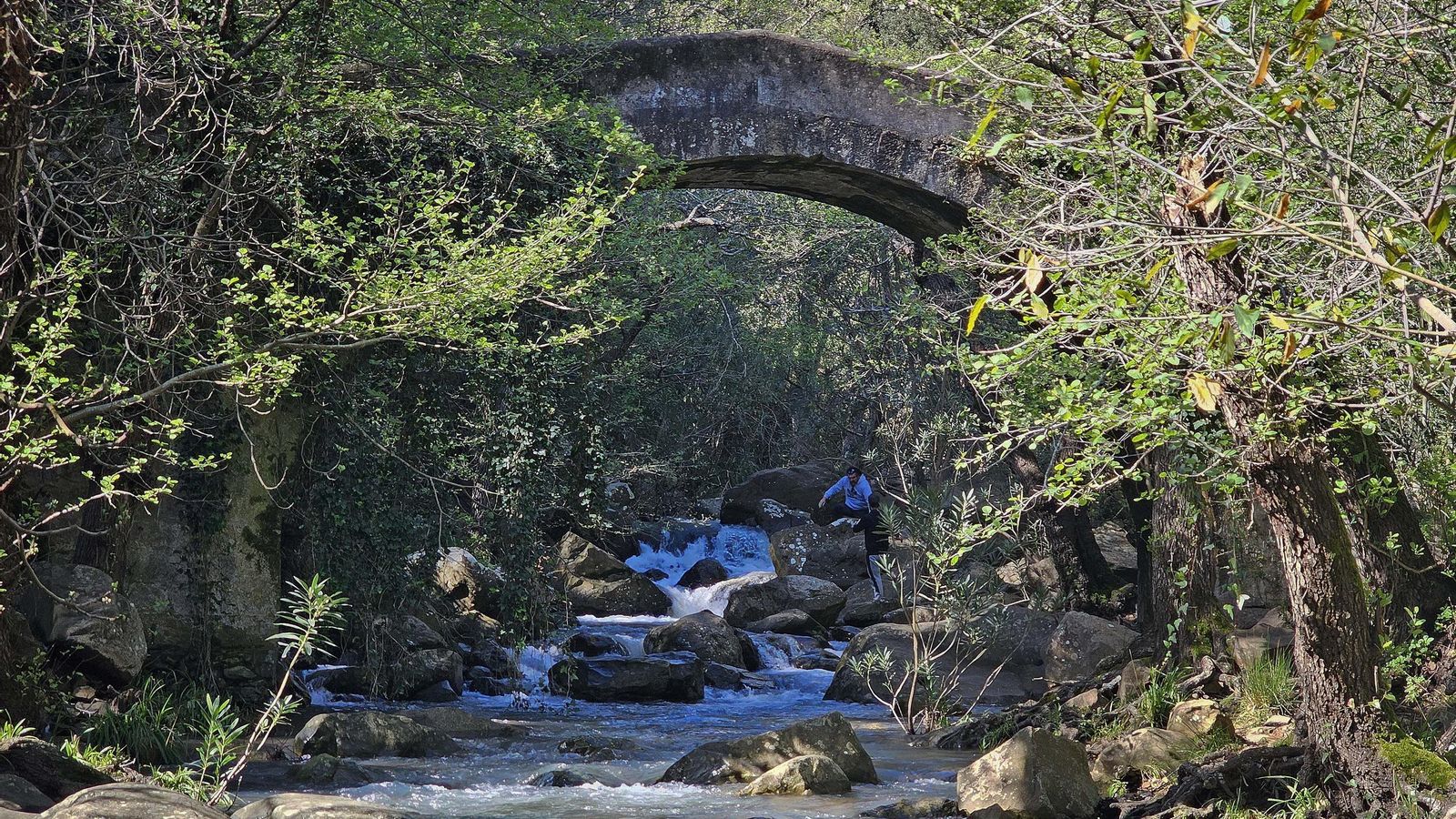 El puente sobre el río de la Miel. 