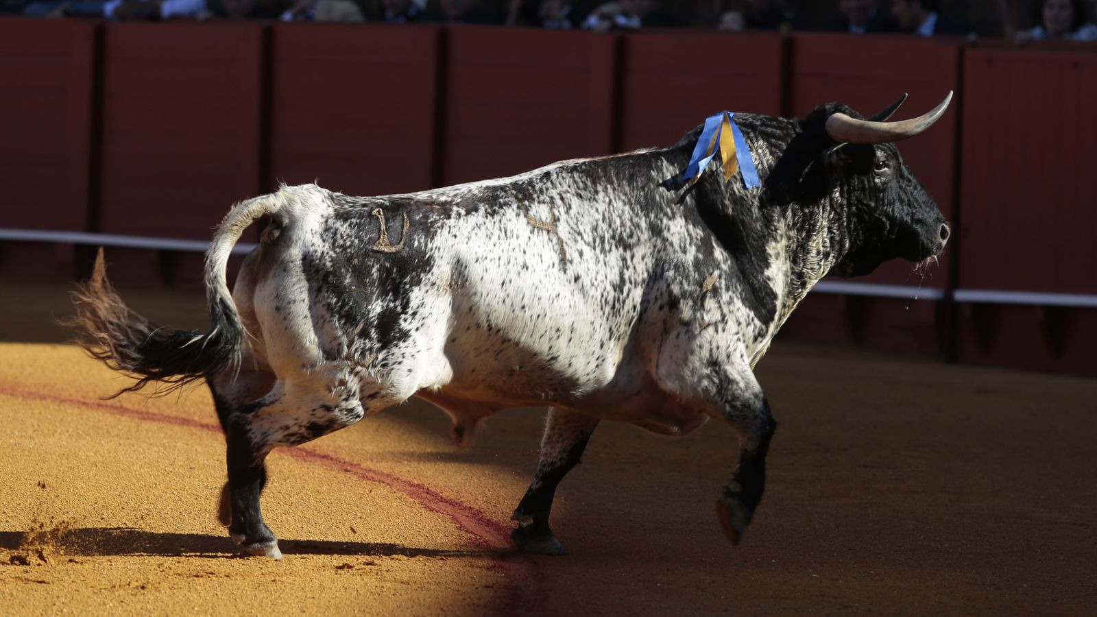 las mejores imágenes de la feria taurina de Sevilla