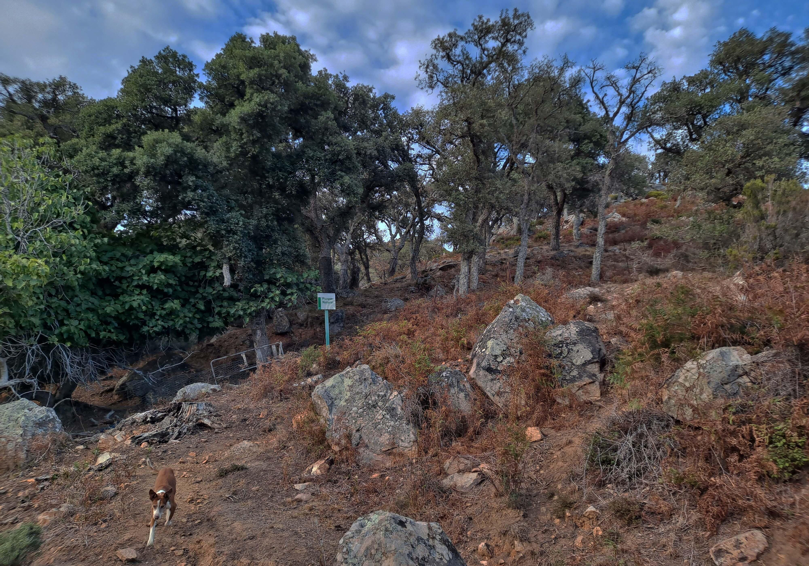 Fotos del sendero del Chorro de Pelayo en Algeciras