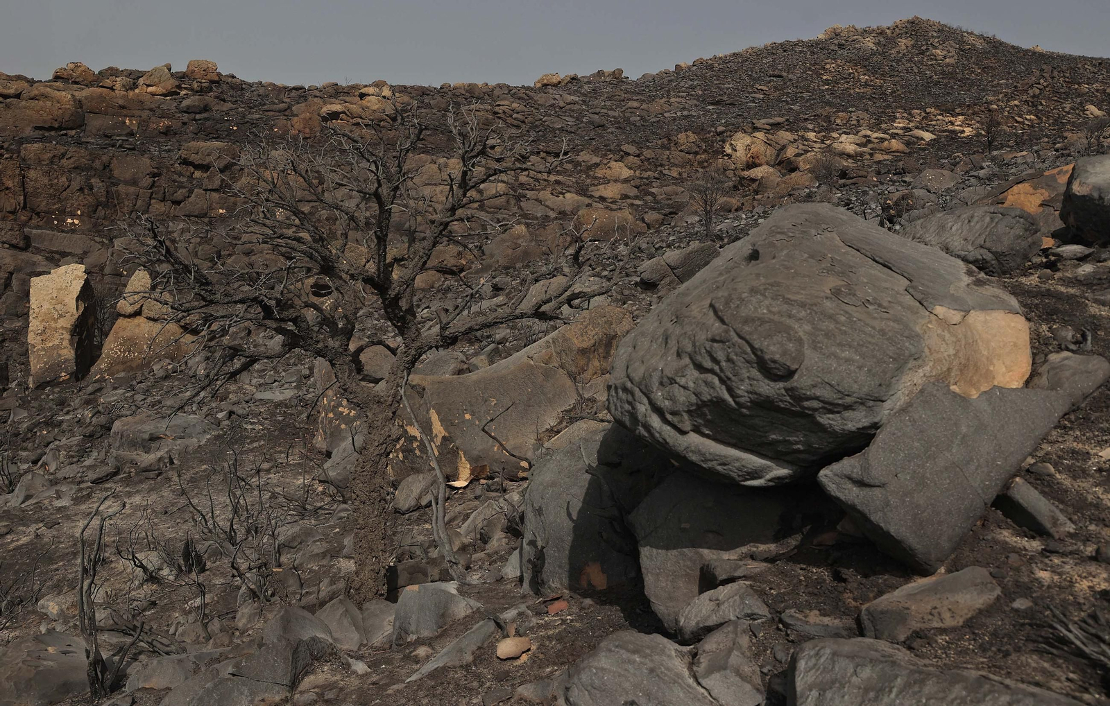 Fotos de los efectos del incendio en el monte de La Peña en Tarifa