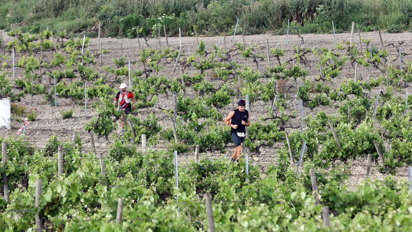 Búscate en la Sherry Maratón 2025 de Jerez (I)