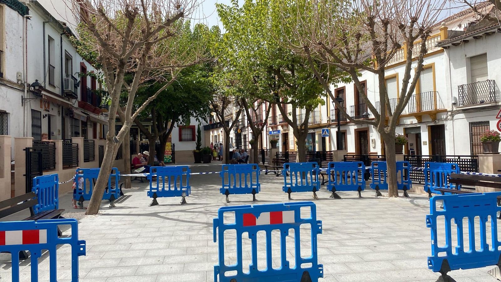 Cercada la zona de moreras afectada en Arriate para la tala de alguna de ellas.
