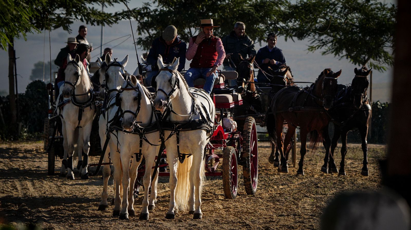 I Ruta de Carruajes Viñas de Jerez
