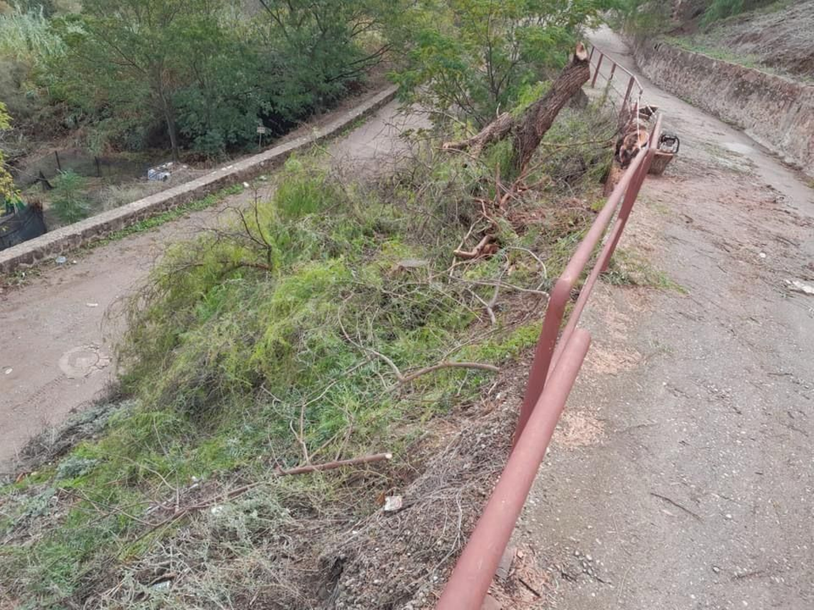 MONTORO Las imágenes del paso de la borrasca Bernard por los pueblos de la provincia de Córdoba