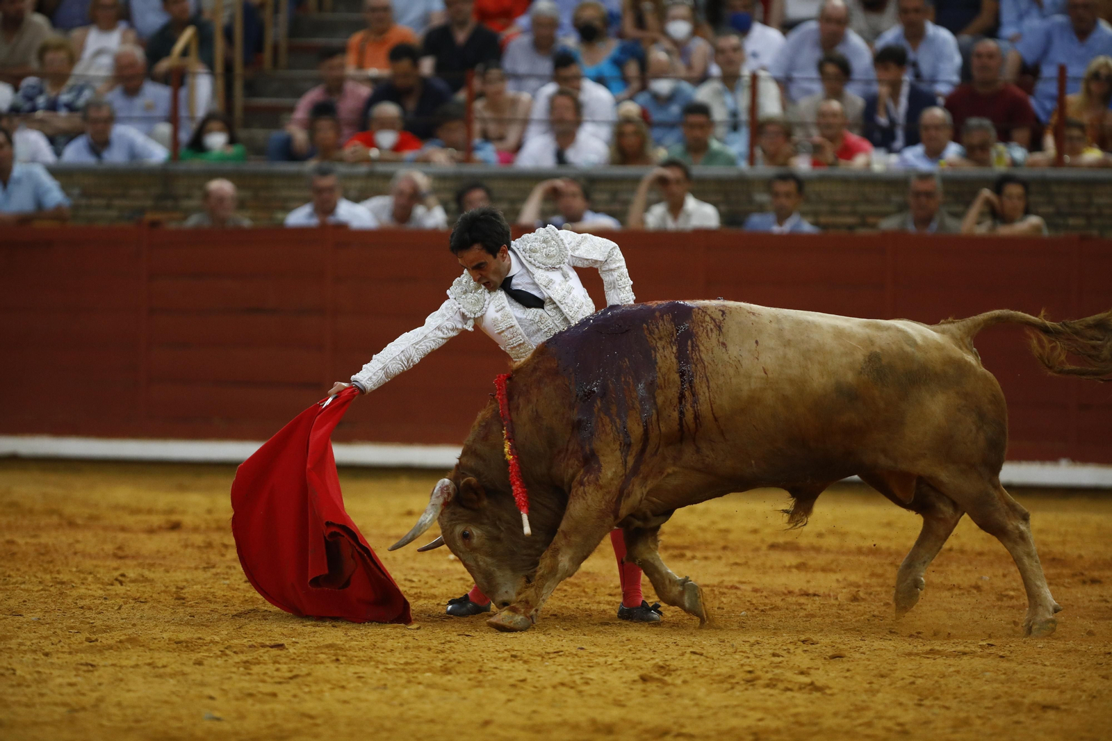 La corrida de Talavante, Roca Rey y Lagartijo, en Córdoba, en imágenes