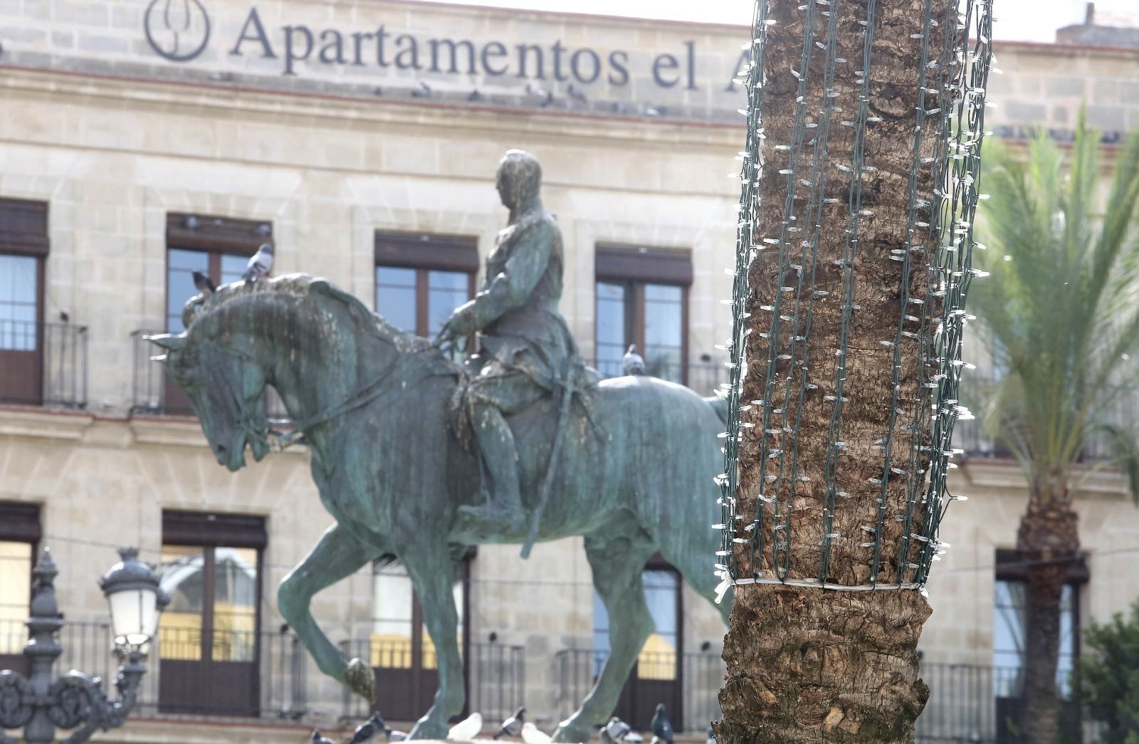 Detalle de la iluminación navideña de una de las palmeras de la plaza del Arenal, ya instalada.