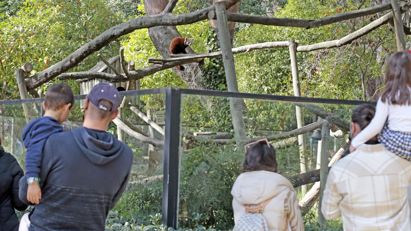 69 aniversario del Zoo de Jerez
