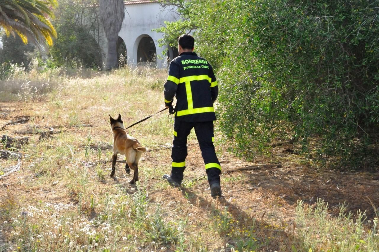 Un bombero realiza prácticas con un perro en los antiguos terrenos de Delphi.