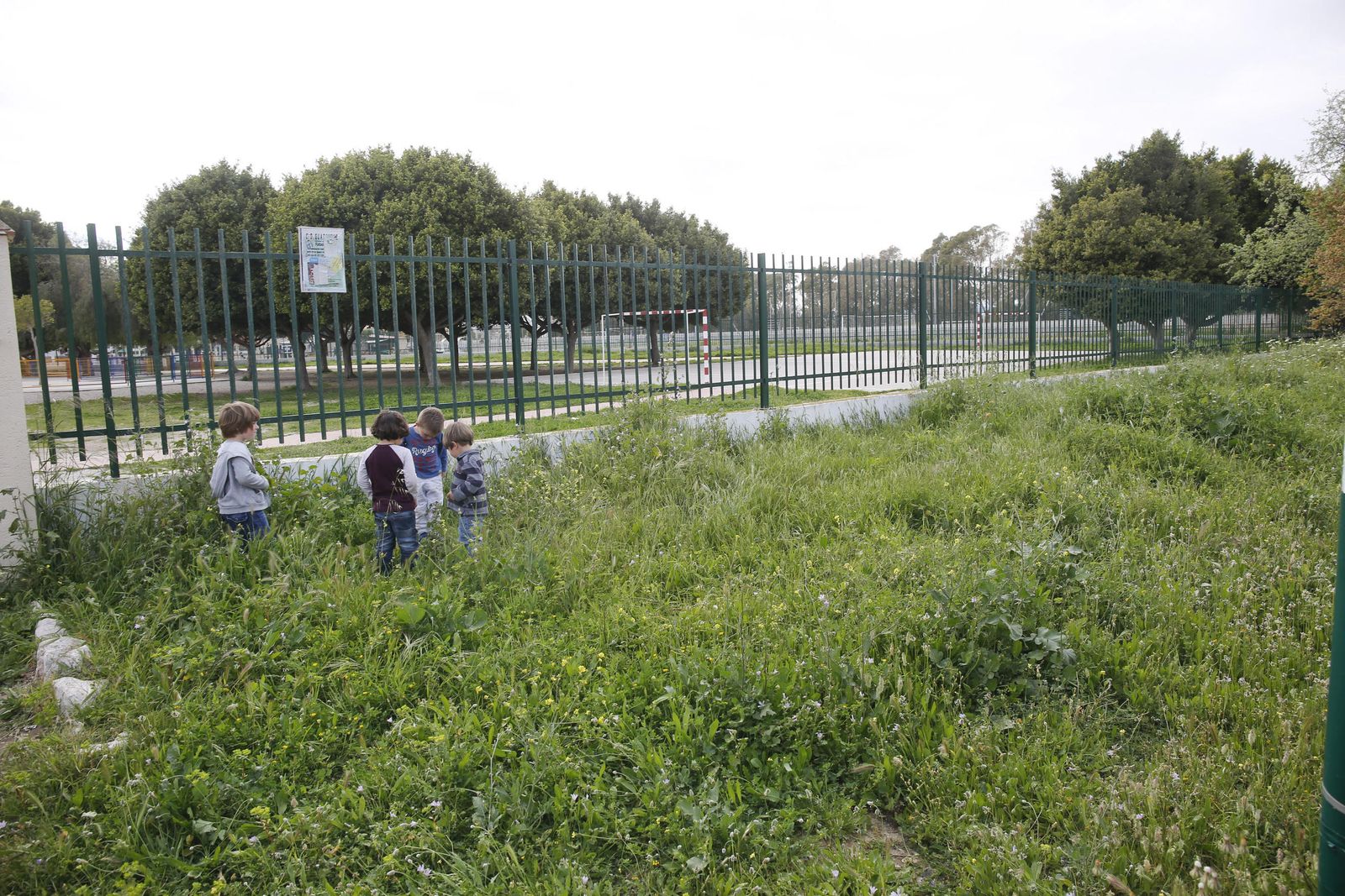 Entorno del colegio Julio Caro Baroja de la zona de Guadalmar.