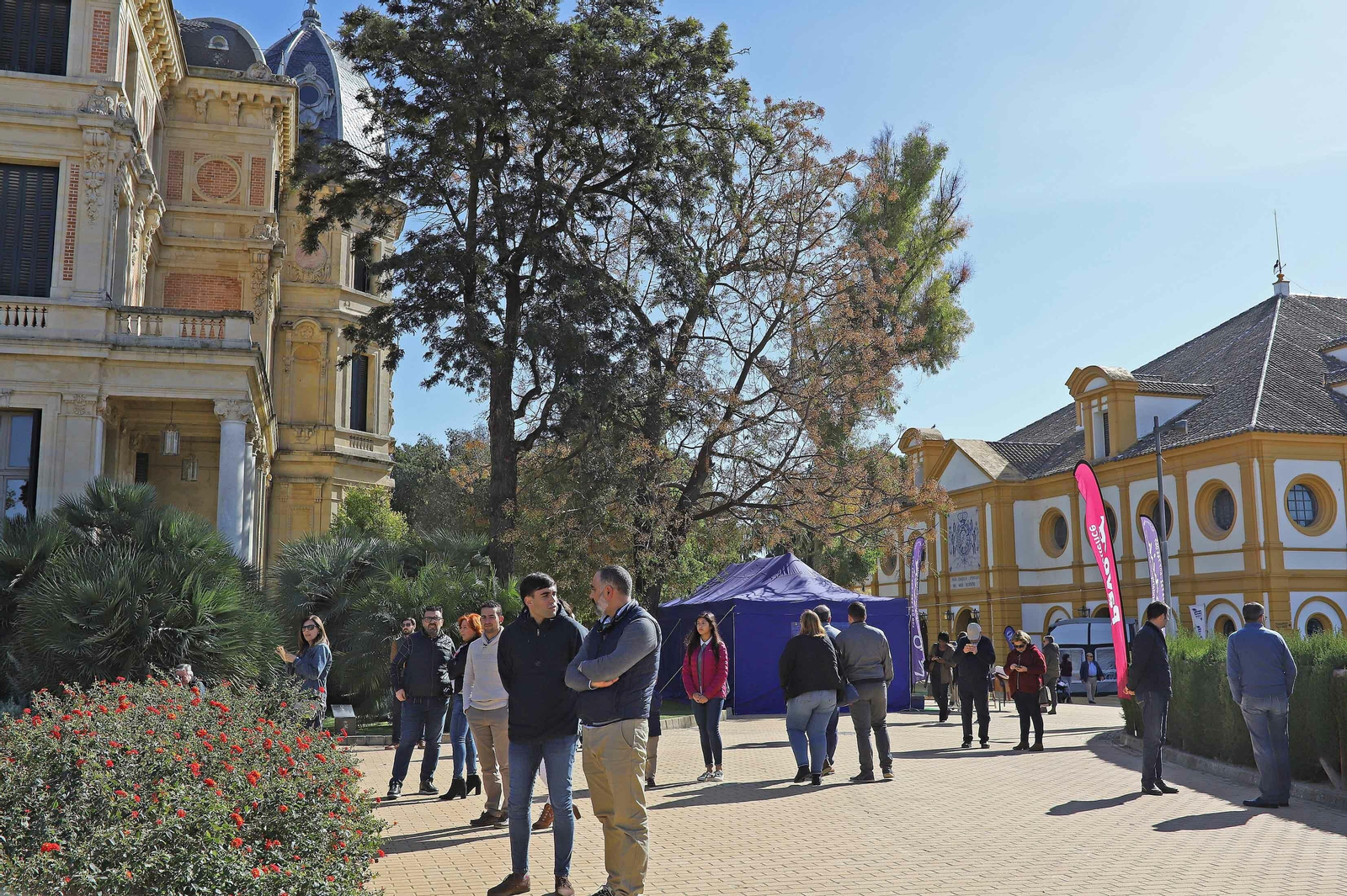 XVII Campeonato de Andalucía de Doma de Alta Escuela