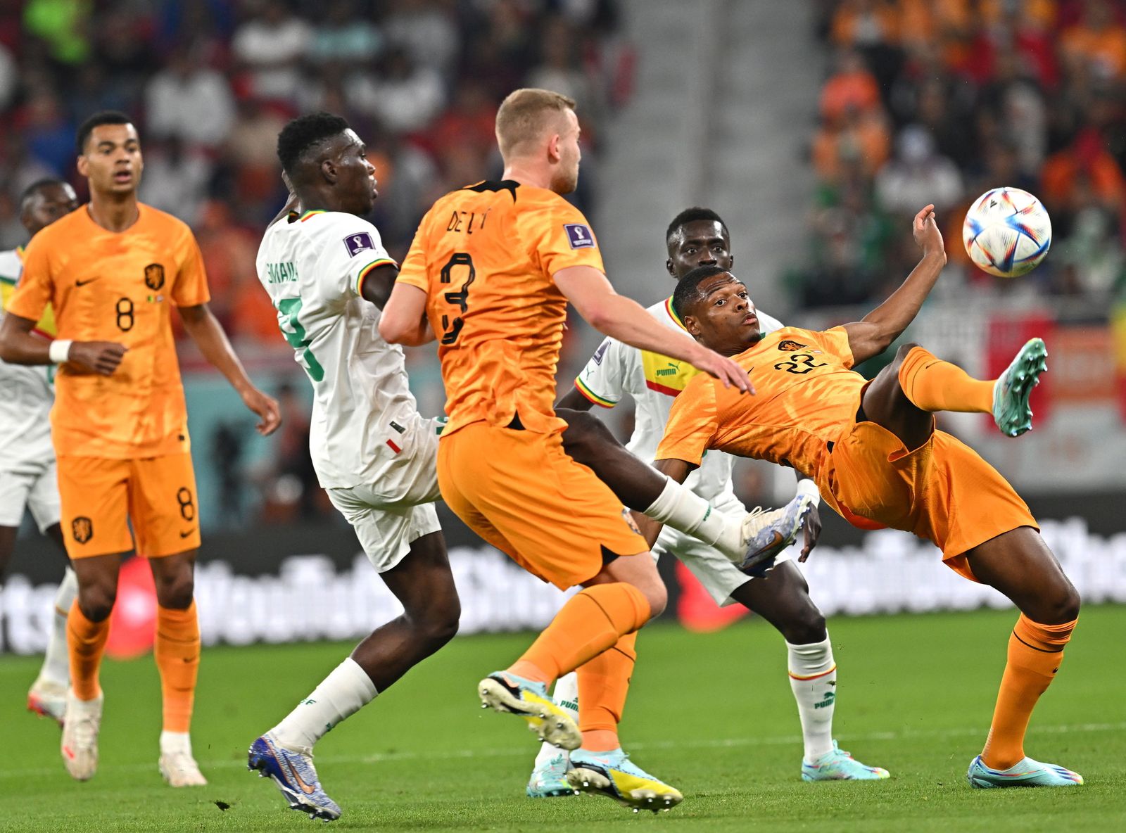 Las imágenes del Senegal - Países Bajos