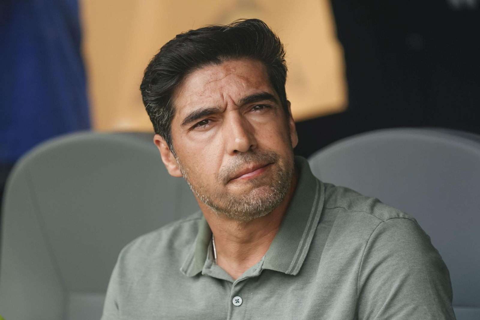 Palmeiras-Botafogo (53).jpg