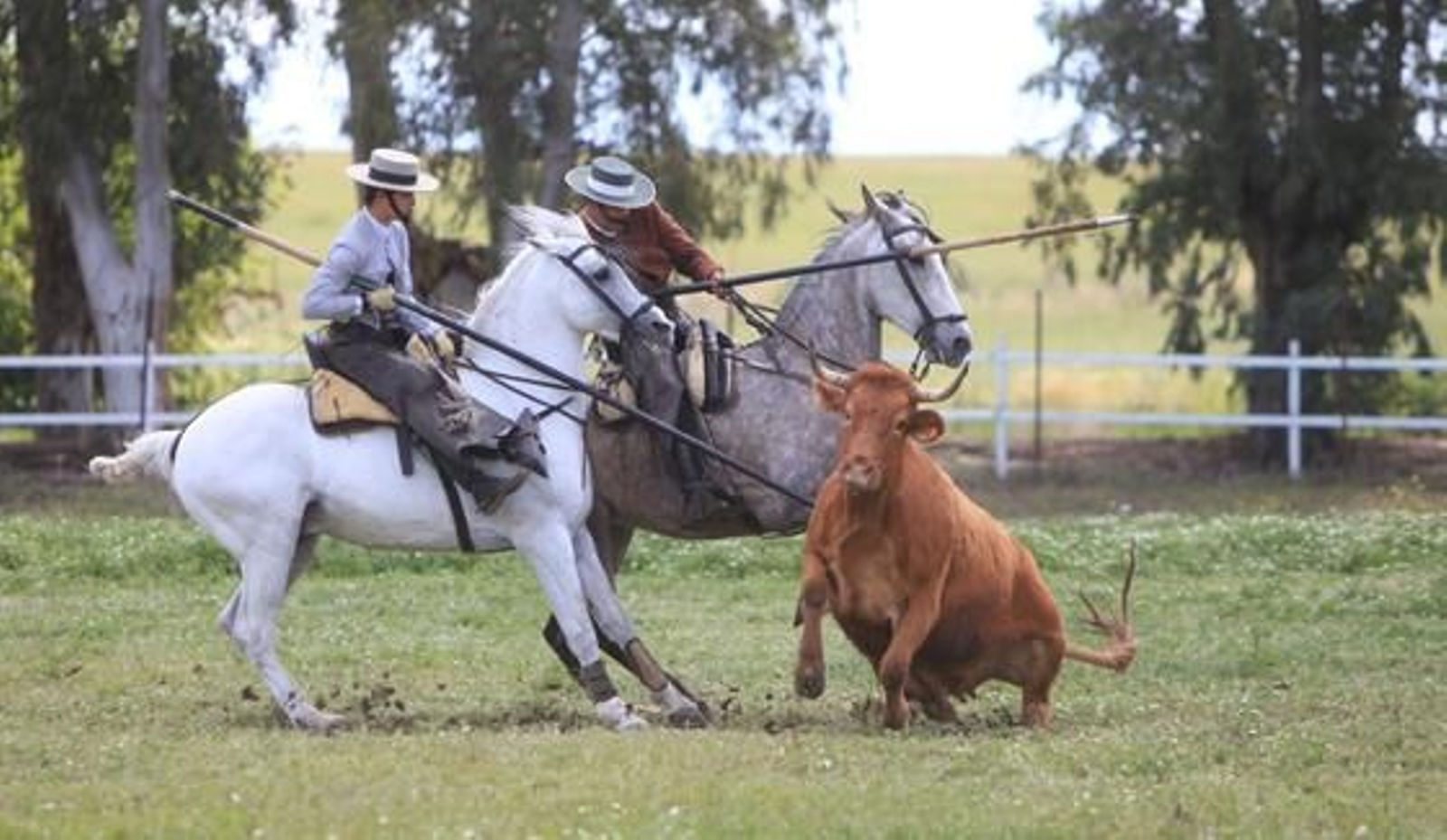 Los jerezanos Tomás y Felipe Morenés se hicieron con un trofeo reñido en un escenario muy recuperado de la lluvia.

Foto: Vanesa Lobo