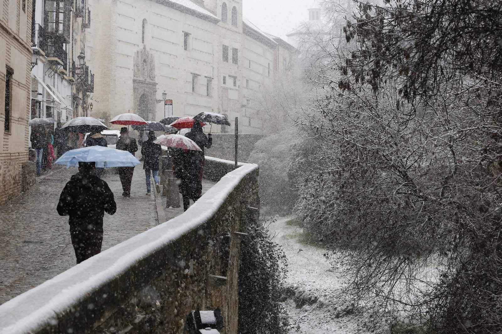 La nevada de Granada, en imágenes