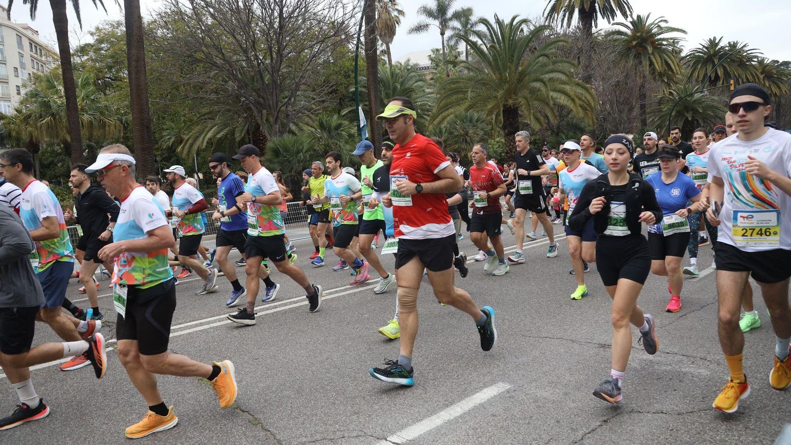 La Media Maratón de Málaga 2025, en fotos