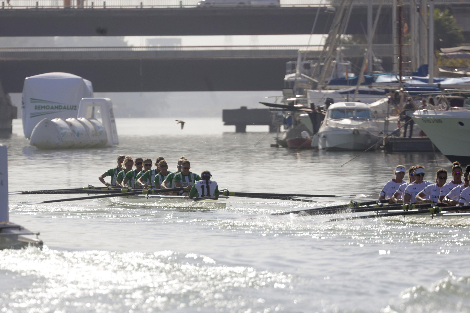 La Regata Sevilla-Betis femenina en imágenes