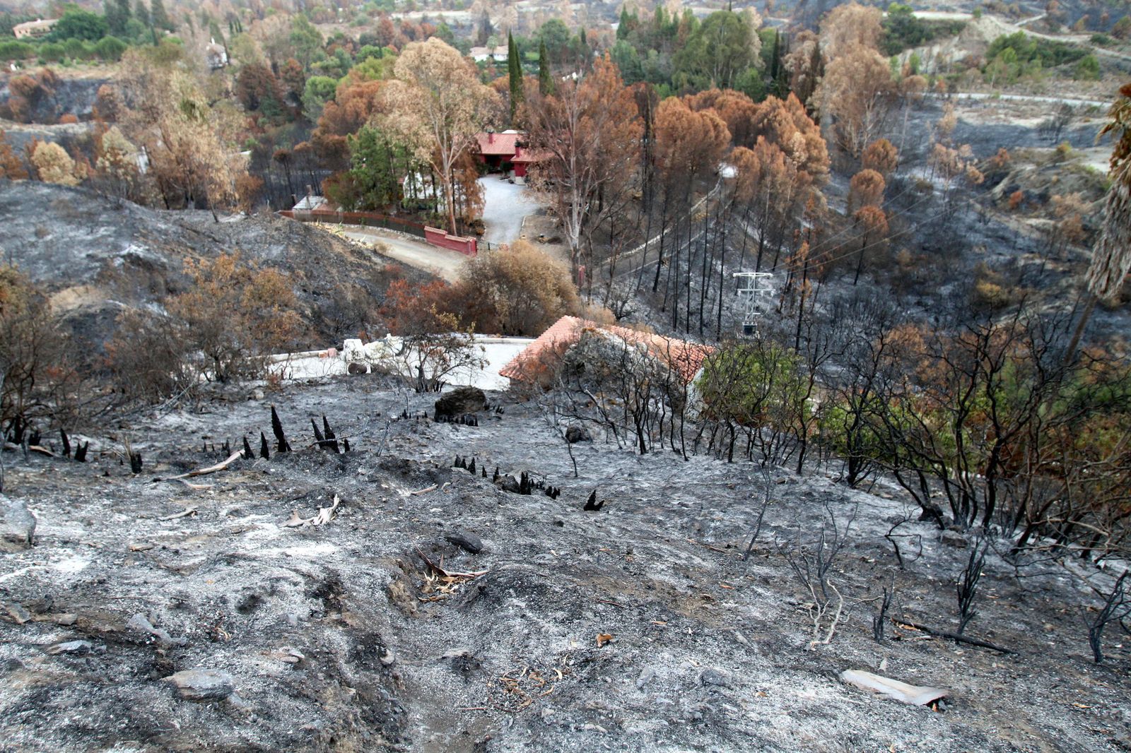 El paraje de Barranco Blanco, en Coín, calcinado tras el incendio.
