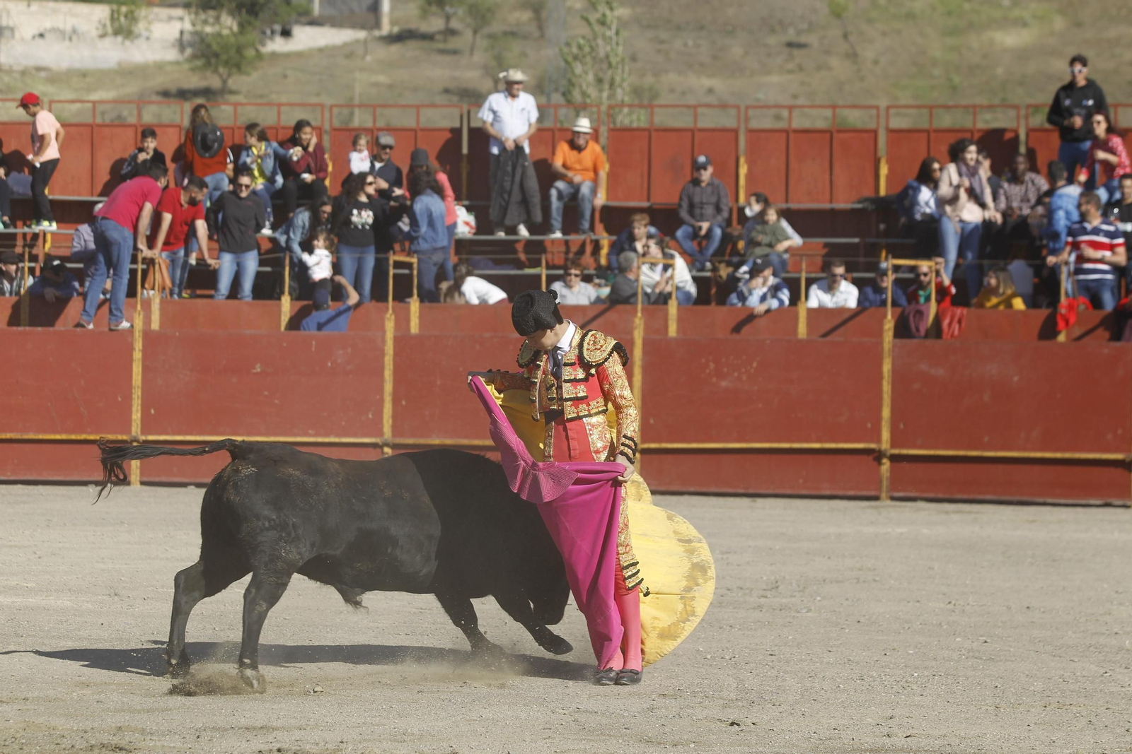 Fotogalería Novillada Fiestas de Abrucena