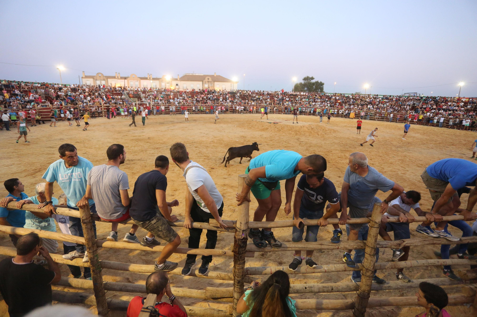 La localidad onubense de Trigueros se prepara para sus capeas más esperadas