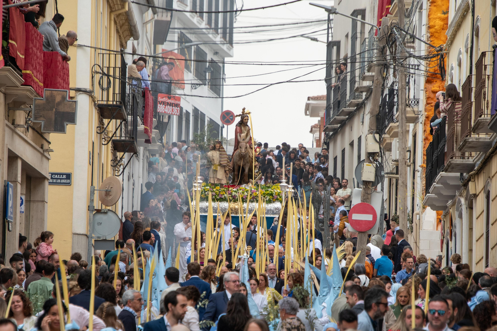 La procesión de la Borriquita de Montilla el Domingo de Ramos 2024, en imágenes