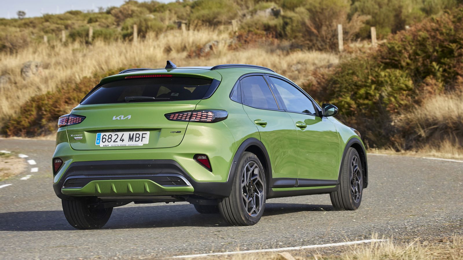 En lugar de bombillas, en los pilotos los GT-Line reciben leds. También el difusor inferior está pintado del color de la carrocería, no en negro como en el resto de versiones.