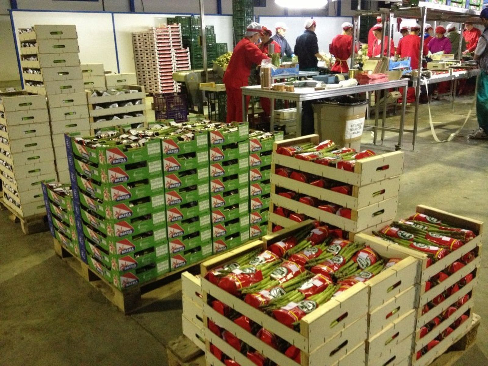 La cooperativa Agroláchar ha celebrado su vigésimo aniversario.