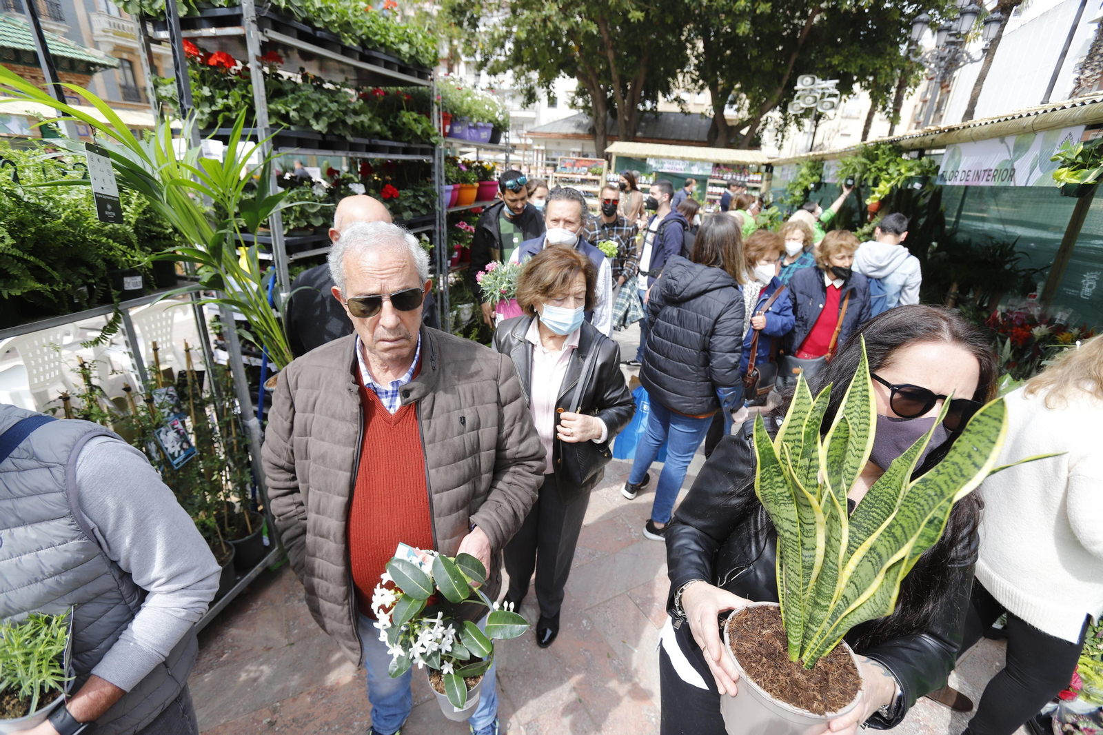 Imágenes del 'V Mercado de Flores y Plantas de Huelva' en la Plaza de Las Monjas