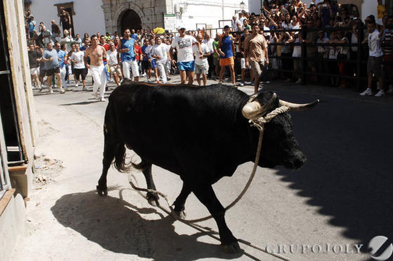 Imágenes del Toro de Cuerda