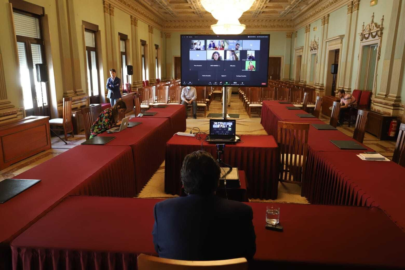 Gabriel Cruz, durante la rueda de prensa telemática de presentación del plan.