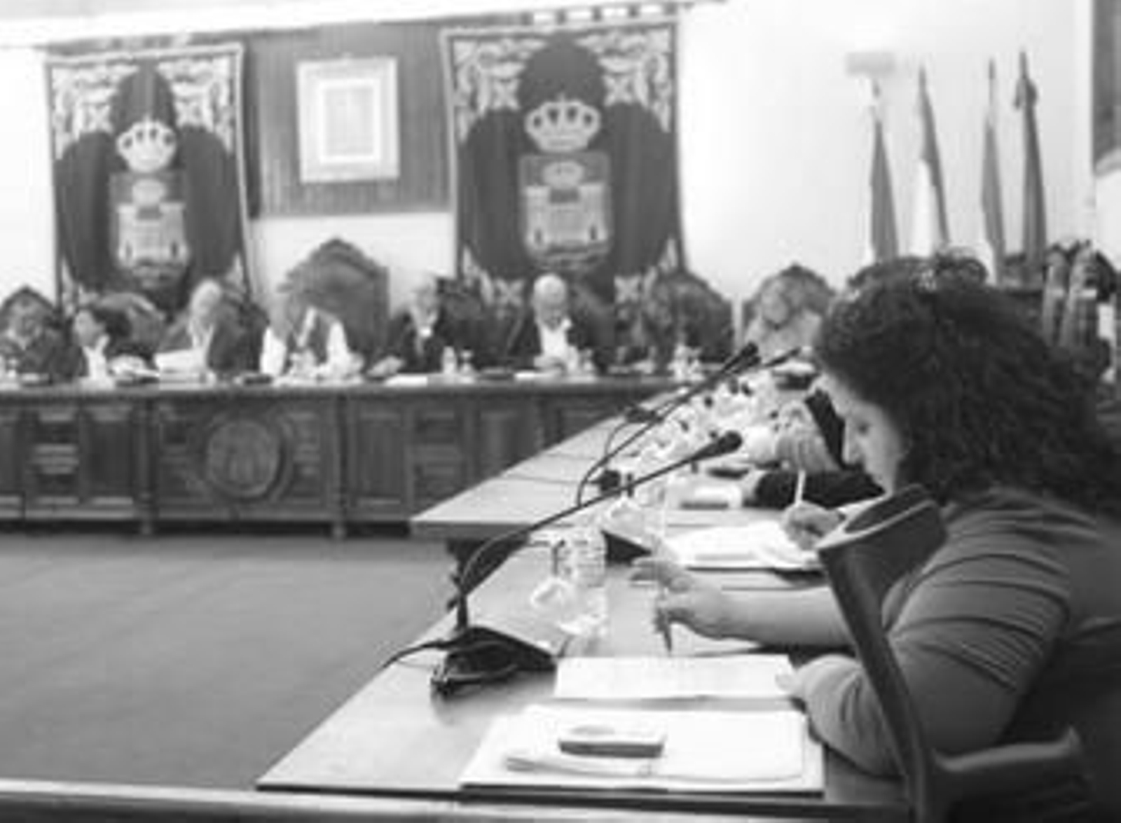 Imagen del pleno extraordinario celebrado ayer.