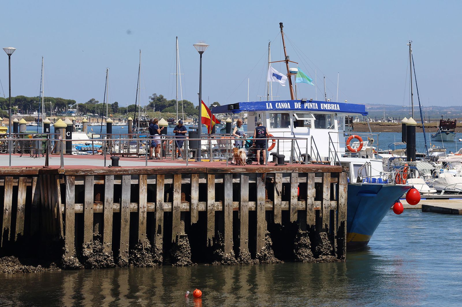 Imágenes veraniegas en Punta Umbría y en las playas de El Portil y La Bota