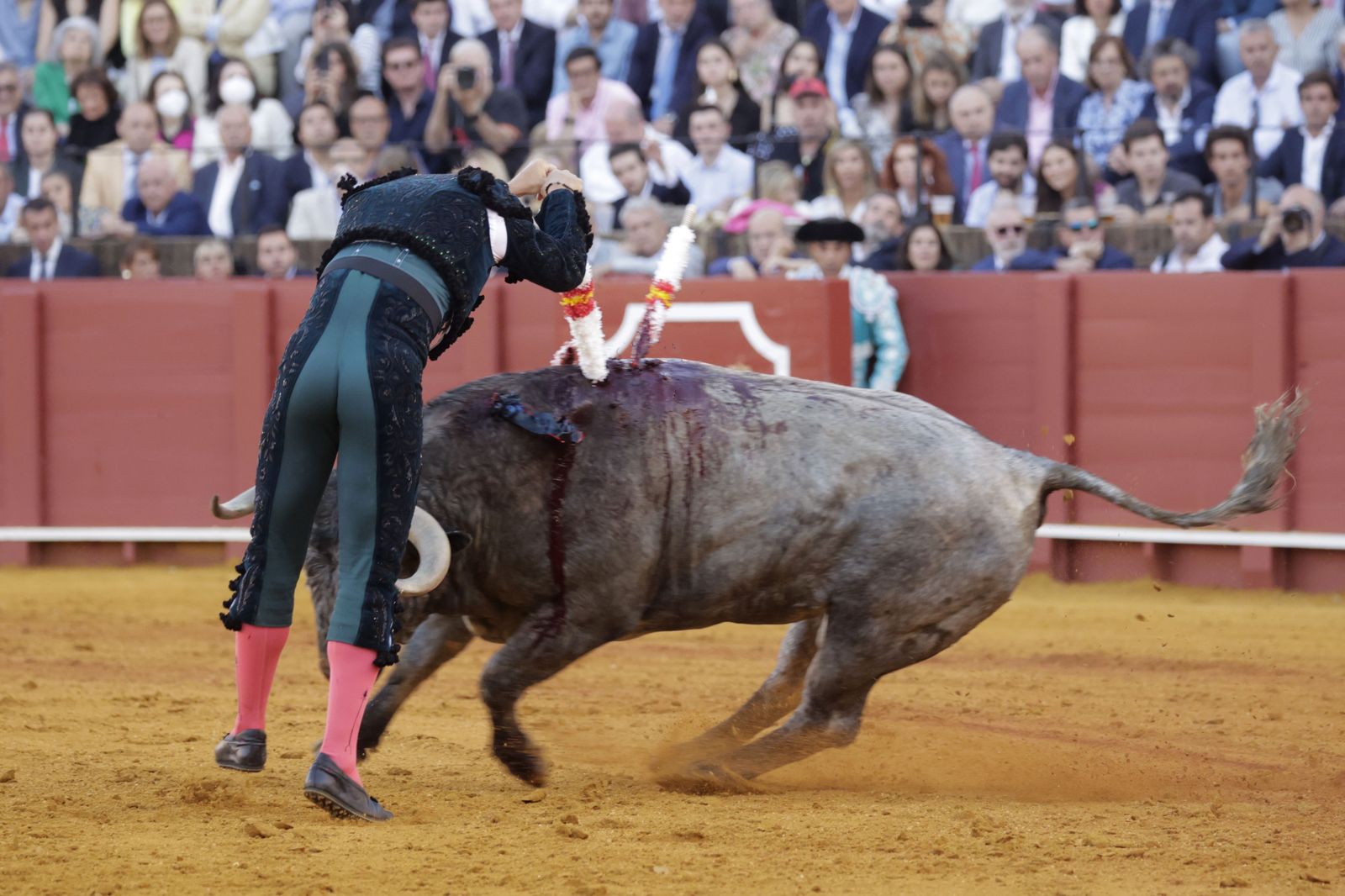 Las imágenes de la corrida de los Victorinos en la Maestranza de Sevilla