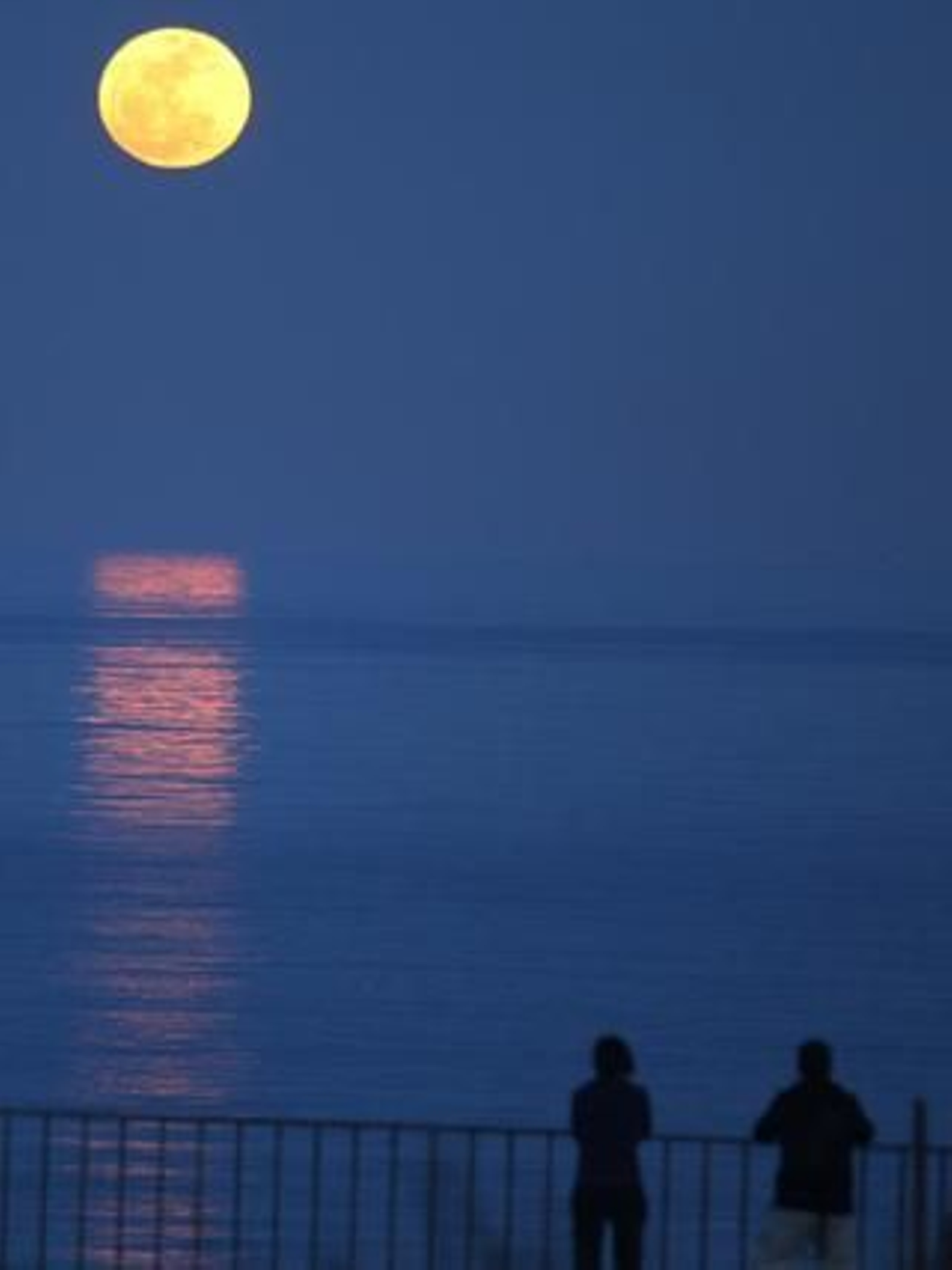 La marea histórica se vivió en las playas del Campo de Gibraltar con mucha espectación, sobre todo en la de Poniente de La Línea y El Rinconcillo de Algeciras./Fotos:Paco Guerrero/Shus Terán/J.M.Quiñones

Foto: Paco Guerrero/J.M.Q./Shus Teran/