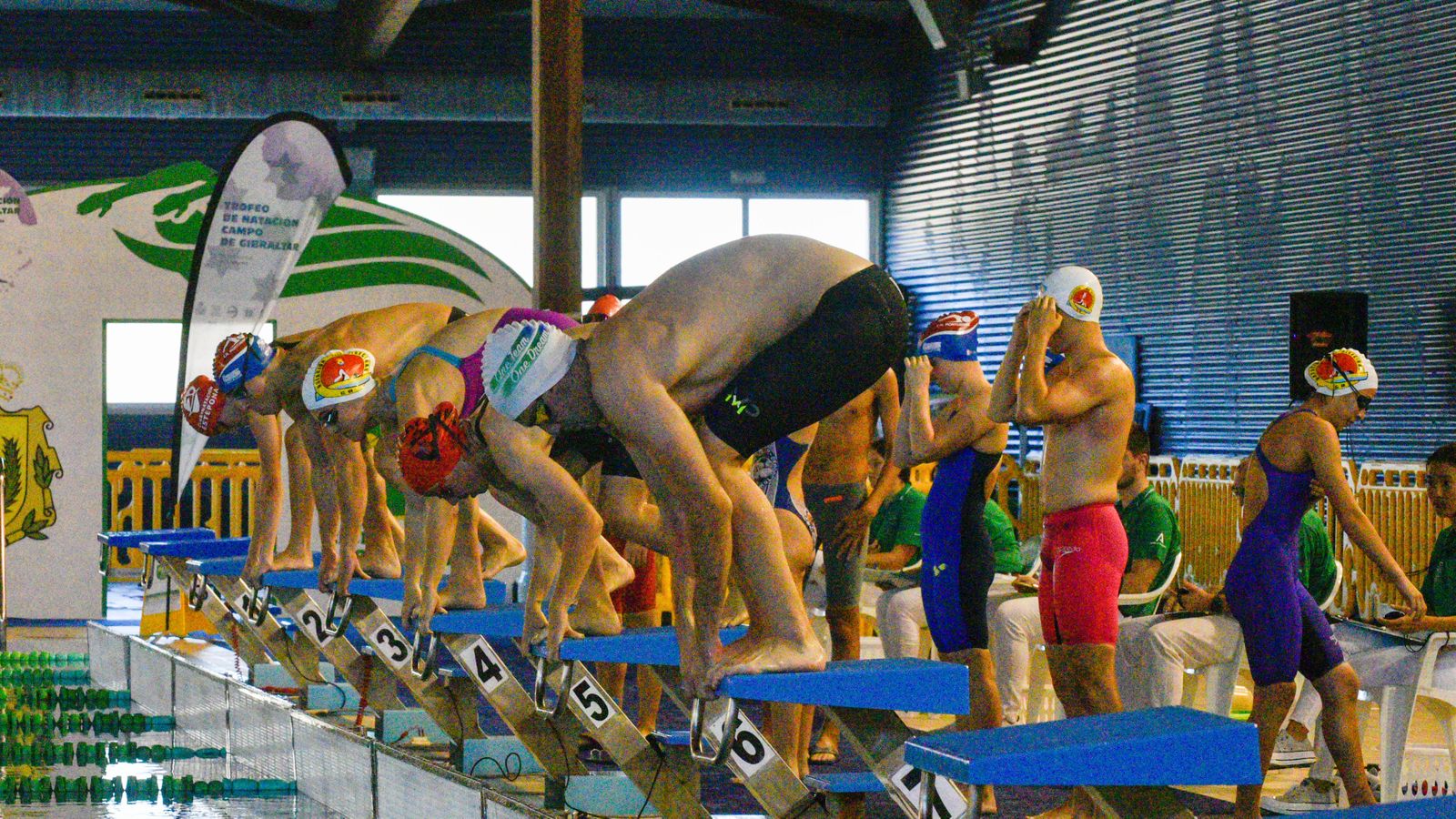 Fotos del Torneo de natación Campo de Gibraltar, en Los Barrios