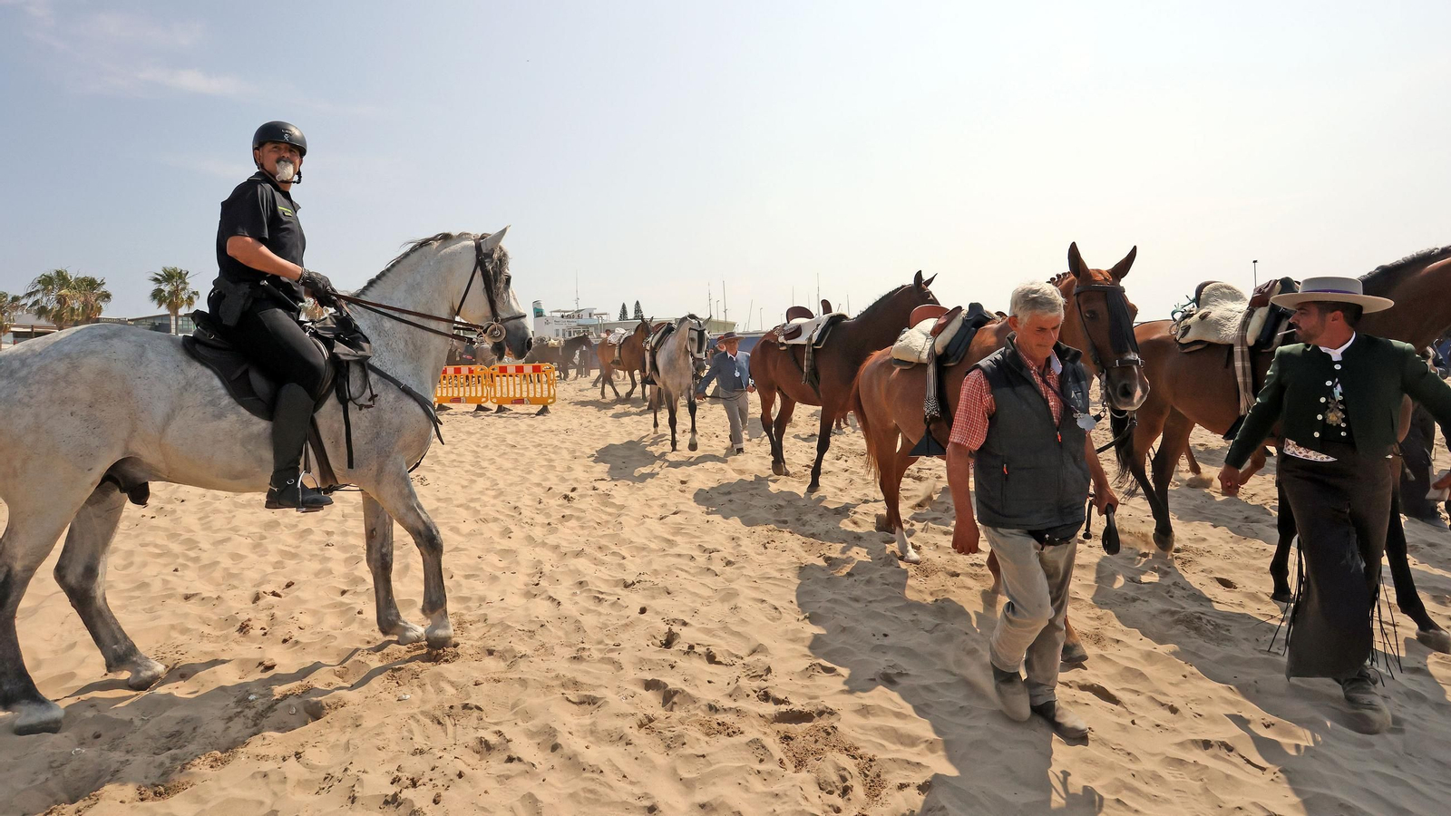 La Hdad del Rocío de Jerez de Bajo Guía a Doñana