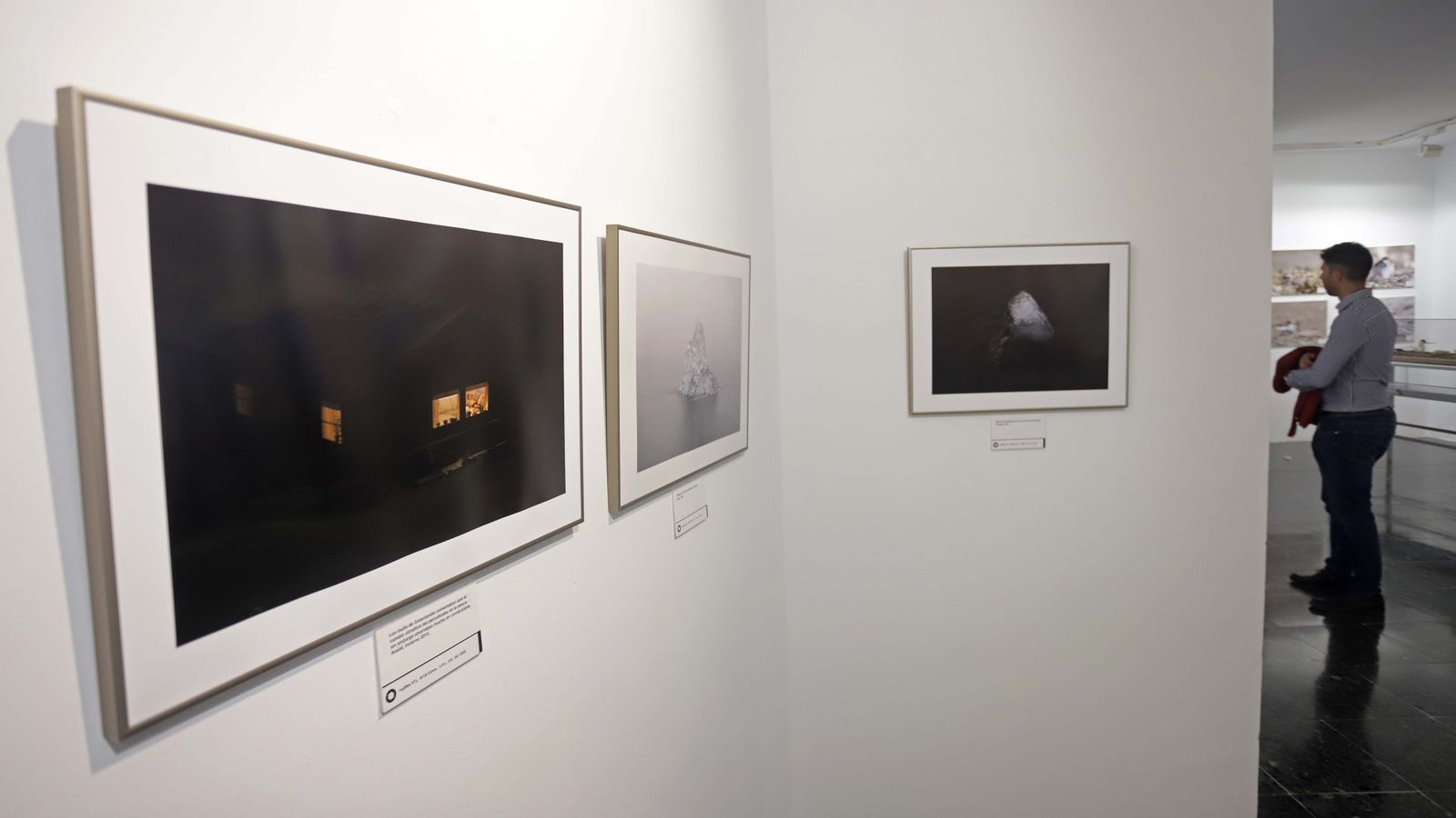 Fotos de las exposiciones de la Galería Manolo Ales en La Línea