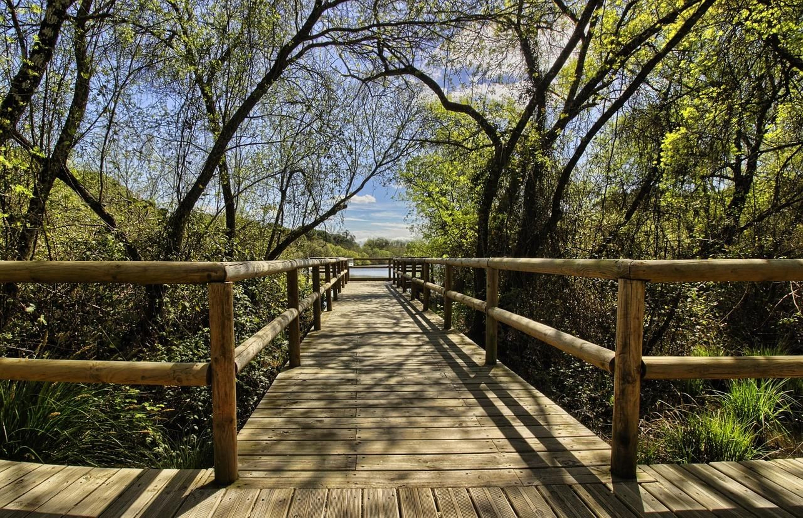 Doñana Doñana