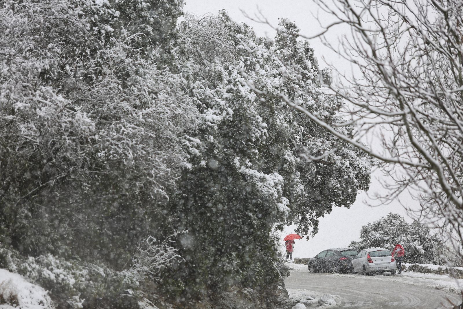 Las imágenes de la nevada en Málaga