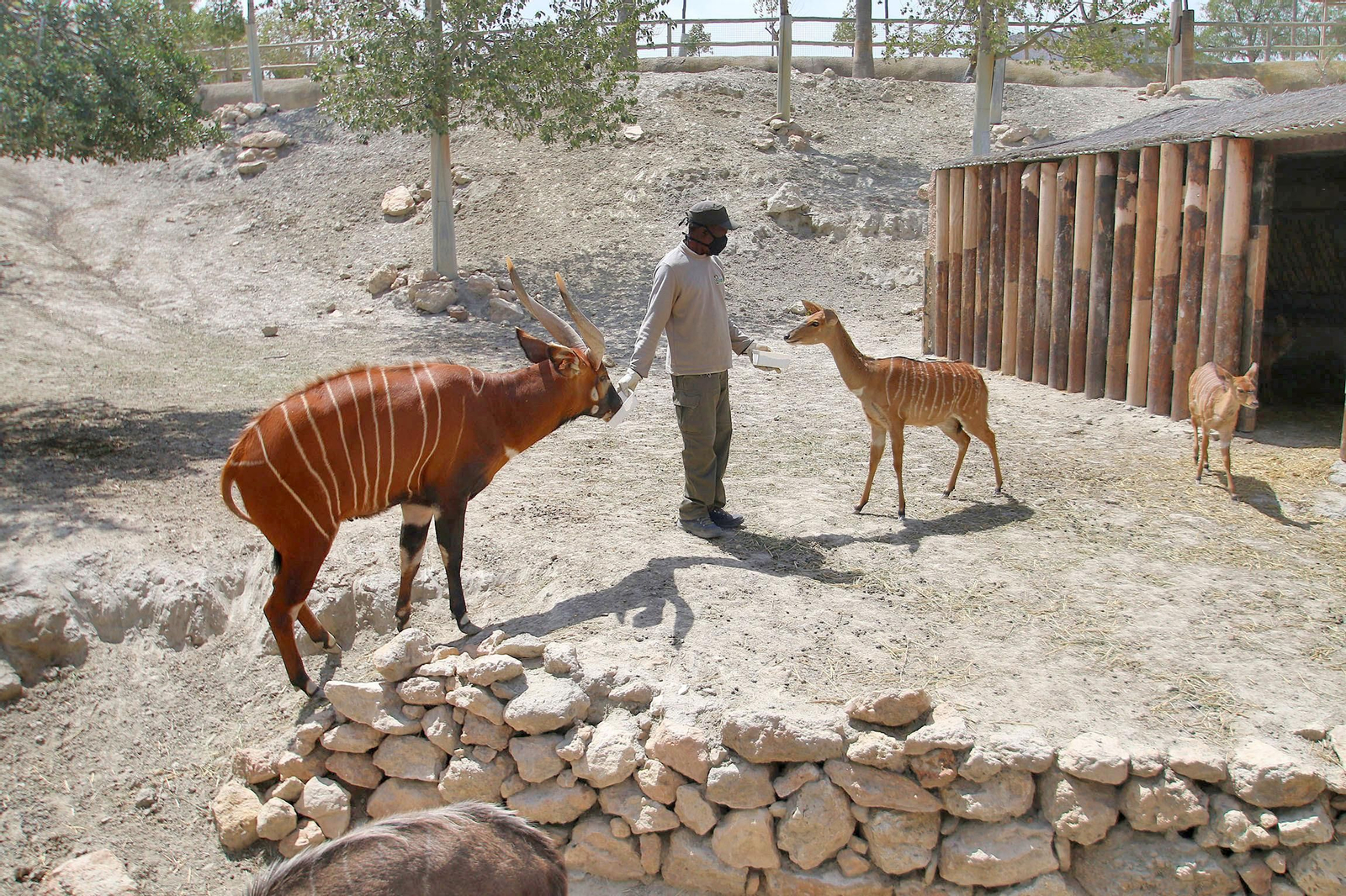 Fotogalería del Oasys Mini Hollywood sin actividad durante el coronavirus