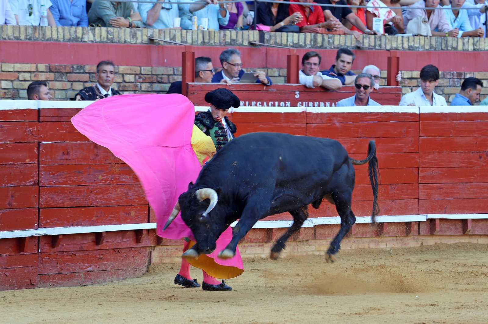Toros La Merced 2025: Imágenes de la Novillada de Javier Zulueta, Cristian González y Carlos Tirado