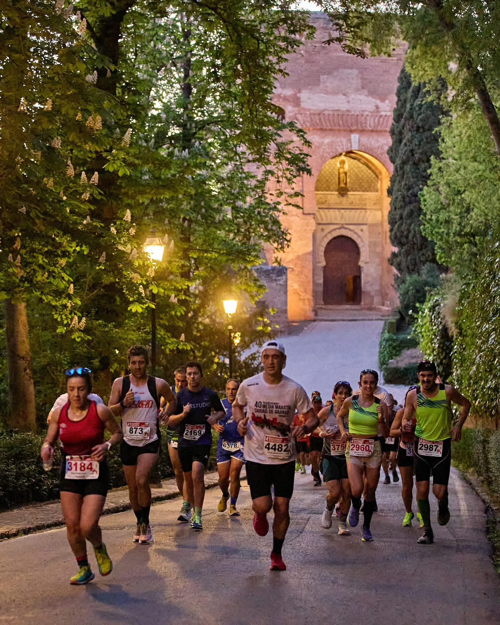 Las mejores imágenes de la Media Maratón Ciudad de Granada 2025