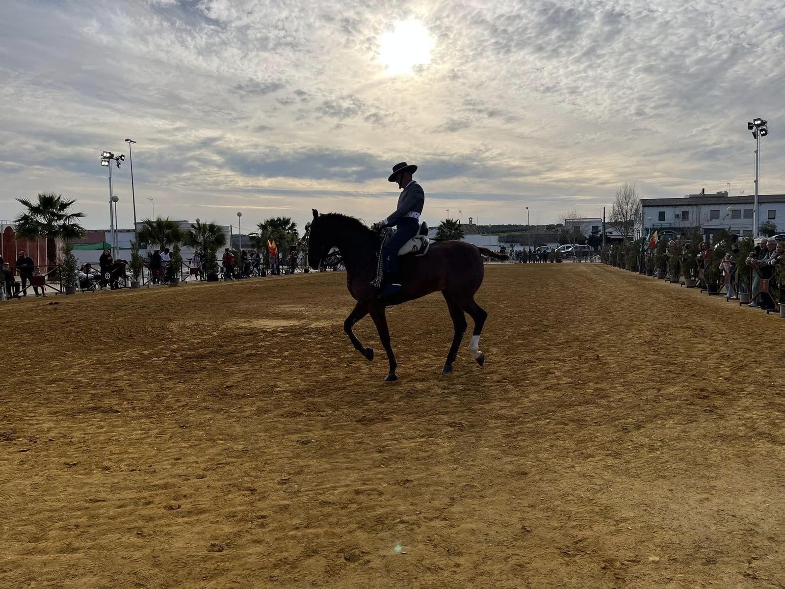 La exhibición ecuestre Caballos de Nuestra Tierra de Bujalance, en imágenes