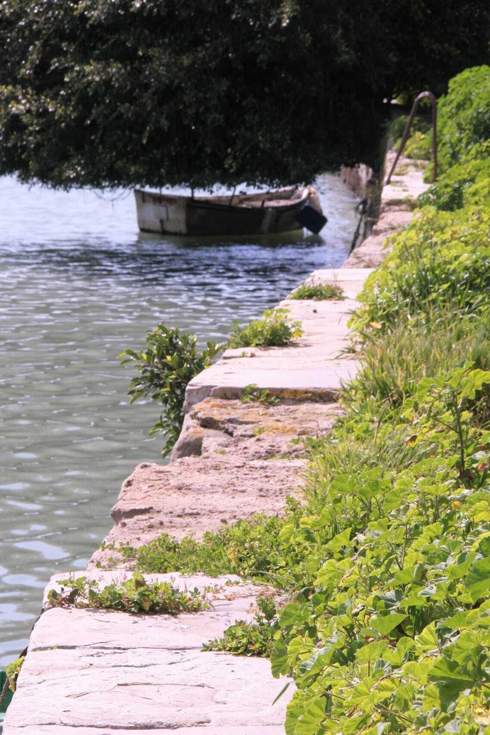 Pese al abandono en que se encuentra, el muelle mantiene un aire romántico.