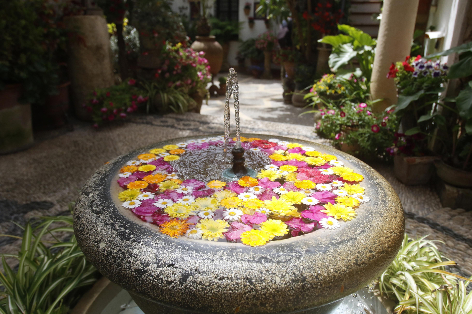 Ruta Santiago - San Pedro de los Patios de Córdoba, en imágenes