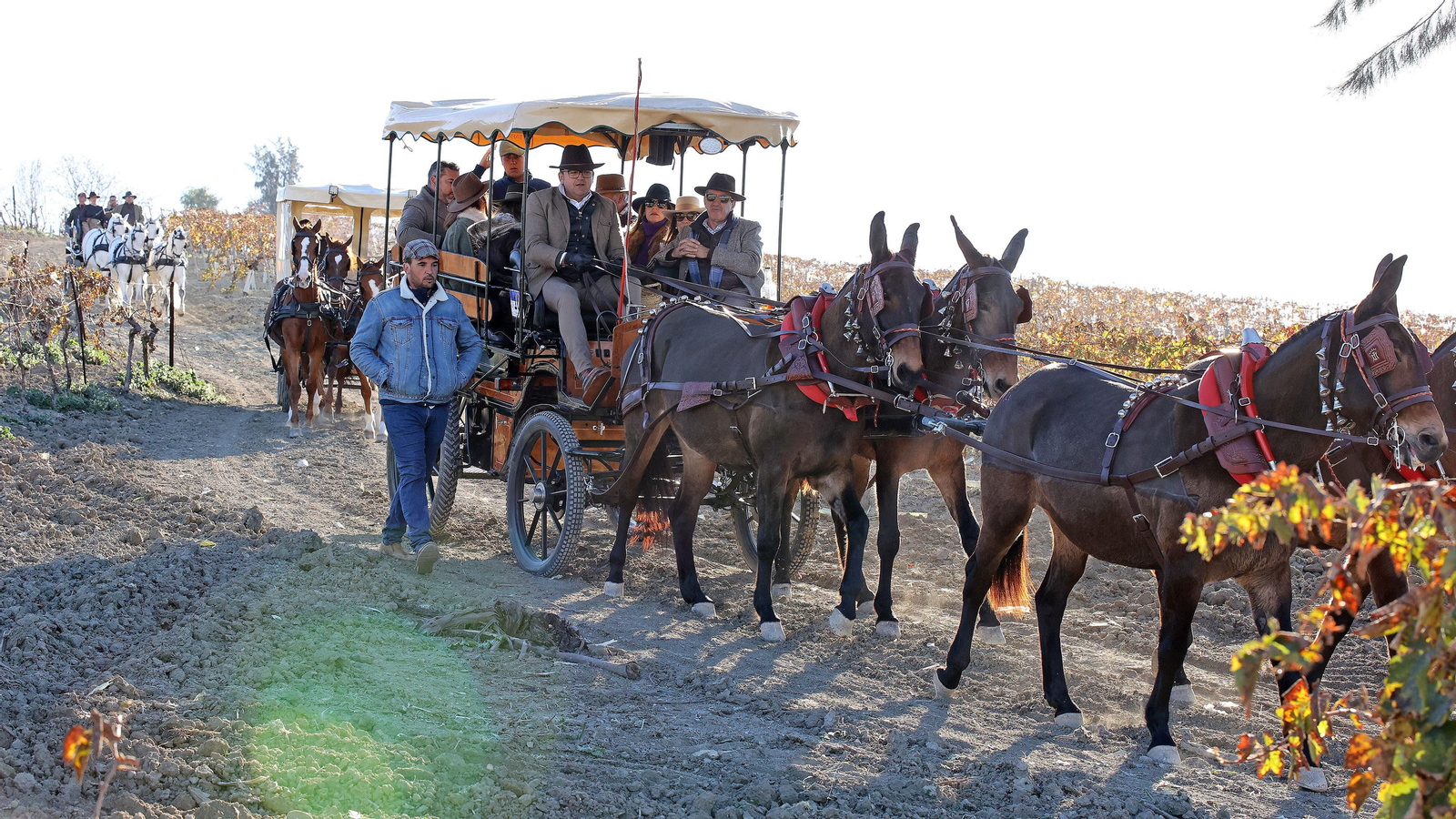 II Ruta Viñas de Jerez