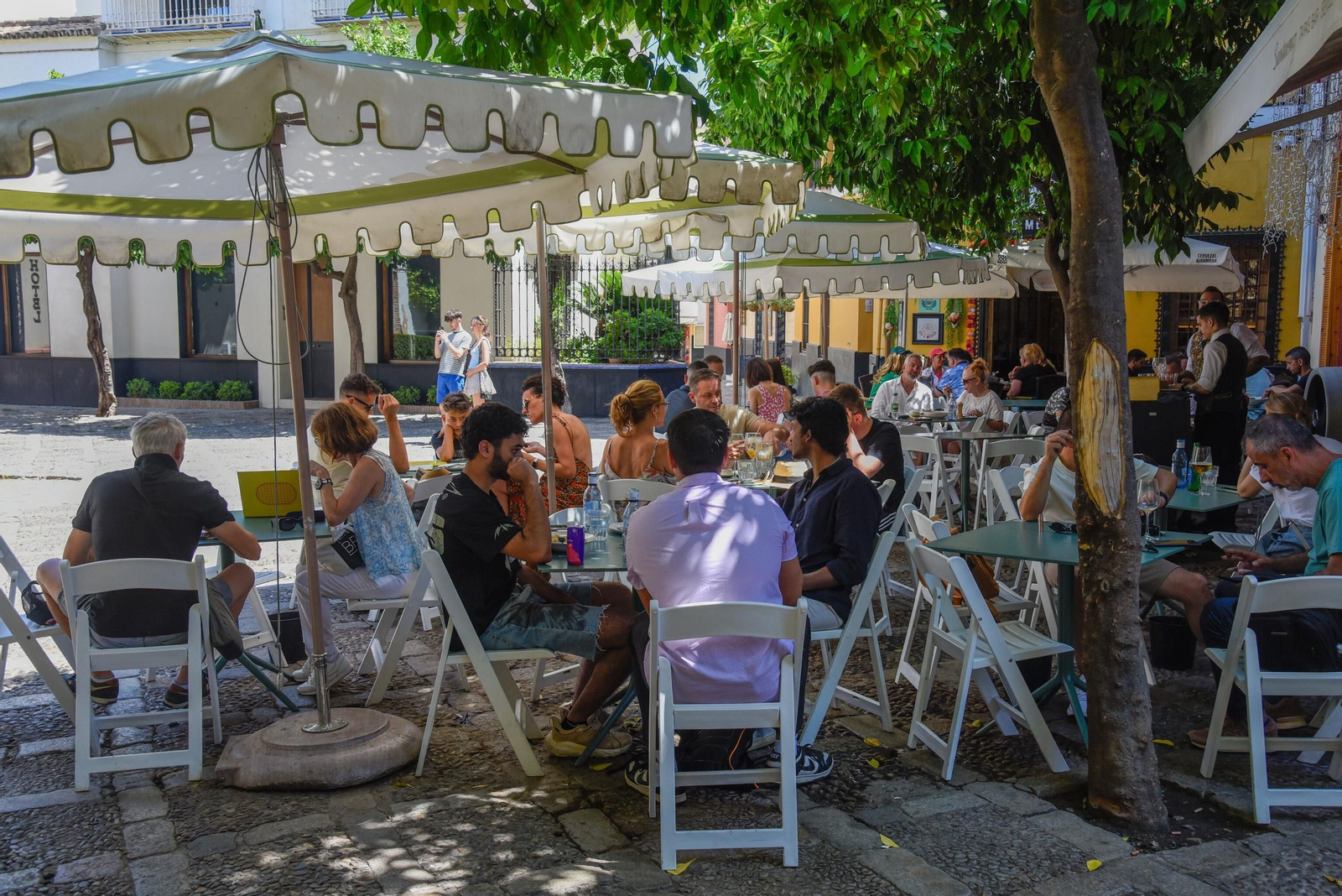 Sevillanos y turistas en los veladores de la plaza de la Alianza.